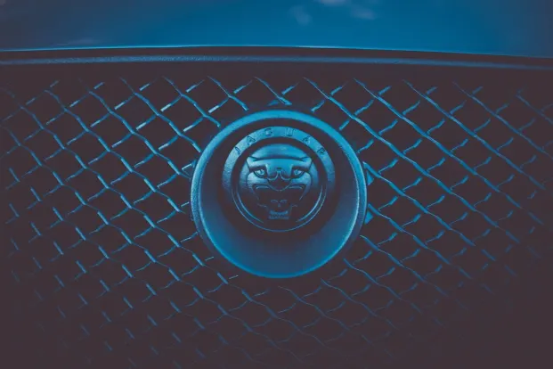 クレオパトラ カジノ Android/iOS アプリ